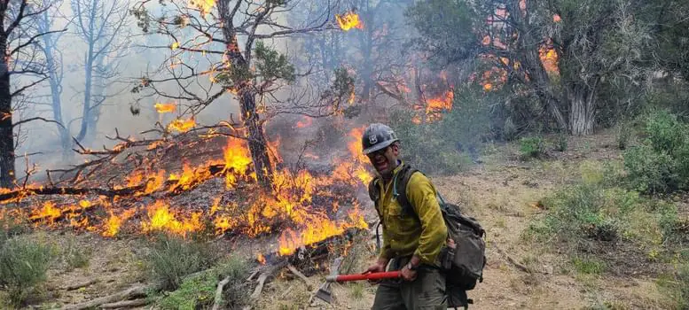 A firefighter with a hand tool walking past a burning juniper, flames running along the ground behind him.